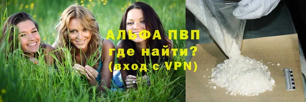 прущие крисы Надым