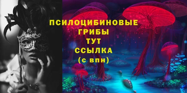 прущие крисы Надым
